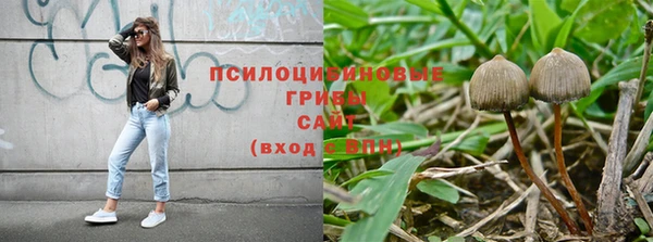 МДПВ Волосово