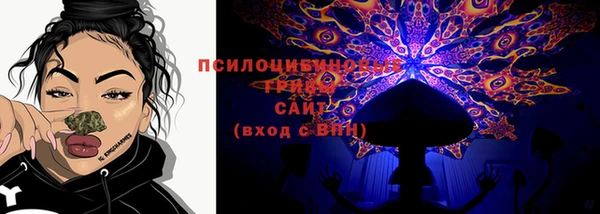 спиды Володарск