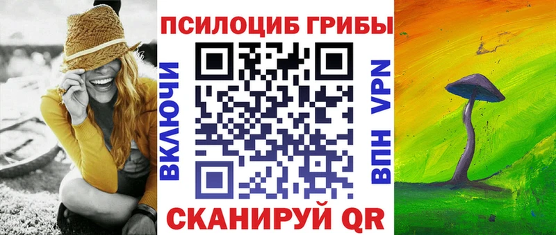 Галлюциногенные грибы Psilocybine cubensis Кемь